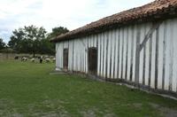 Cjp_2013_09_29_094629.jpg