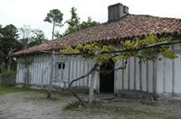 Cjp_2013_09_29_094743.jpg