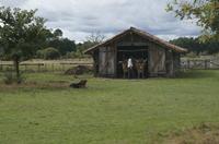 Cjp_2013_09_29_100156.jpg