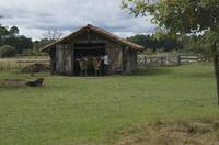 Cjp_2013_09_29_100200.jpg