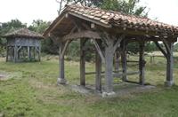 Cjp_2013_09_29_100558.jpg