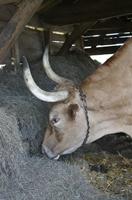 Cjp_2013_09_29_100628.jpg