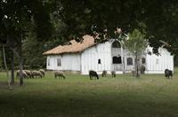 Cjp_2013_09_29_101238.jpg