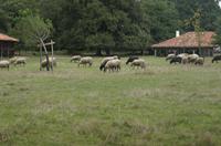 Cjp_2013_09_29_101310.jpg