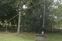 Cjp_2013_09_29_101436.jpg