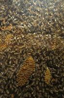 Cjp_2013_09_29_102250.jpg