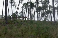 Cjp_2013_09_29_103250.jpg