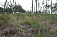Cjp_2013_09_29_103347.jpg