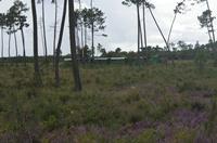 Cjp_2013_09_29_103608.jpg