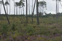 Cjp_2013_09_29_103614.jpg