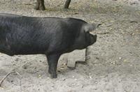 Cjp_2013_09_29_111640.jpg