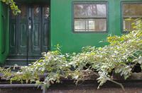 Cjp_2013_09_29_112826.jpg