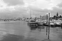 Cjp_2013_09_29_172321.jpg