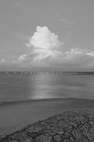 Cjp_2013_09_29_181557.jpg