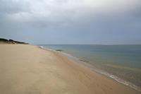 Cjp_2013_09_30_063354.jpg