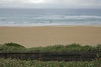 Cjp_2013_09_30_071428.jpg