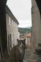 Cjp_2013_10_04_065938.jpg