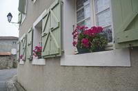 Cjp_2013_10_04_070614.jpg