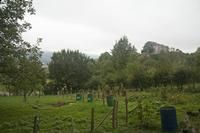 Cjp_2013_10_04_071524.jpg