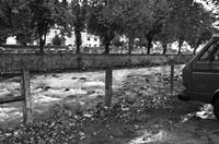 Cjp_2013_10_04_155646.jpg