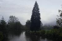 Cjp_2013_10_05_055914.jpg