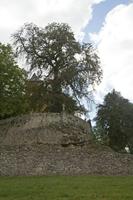 Cjp_2013_10_05_135040.jpg