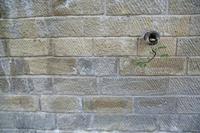 Cjp_2013_10_05_141412.jpg