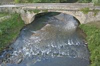Cjp_2013_10_05_142852.jpg