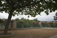 Cjp_2013_10_06_065704.jpg