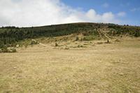 Cjp_2013_10_06_094520.jpg