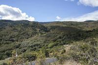 Cjp_2013_10_06_105950.jpg