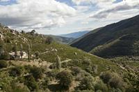 Cjp_2013_10_06_110058.jpg