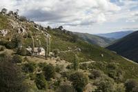 Cjp_2013_10_06_110140.jpg