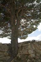 Cjp_2013_10_06_110232.jpg