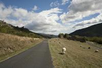 Cjp_2013_10_06_110600.jpg