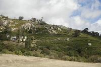 Cjp_2013_10_06_111018.jpg