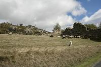 Cjp_2013_10_06_111148.jpg