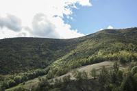 Cjp_2013_10_06_112346.jpg