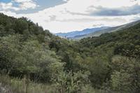 Cjp_2013_10_06_112922.jpg