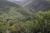 Cjp_2013_10_06_114644.jpg