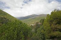 Cjp_2013_10_06_115230.jpg