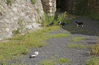 Cjp_2013_10_06_115630.jpg