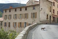 Cjp_2013_10_06_120122.jpg