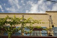 Cjp_2013_10_06_135934.jpg