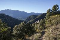 Cjp_2013_10_07_070918.jpg