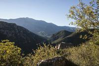 Cjp_2013_10_07_071112.jpg