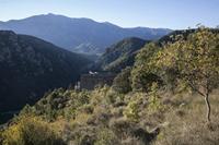 Cjp_2013_10_07_071240.jpg