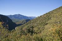 Cjp_2013_10_07_071422.jpg