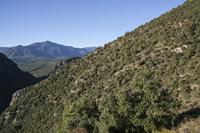 Cjp_2013_10_07_071630.jpg