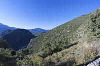 Cjp_2013_10_07_071948.jpg
